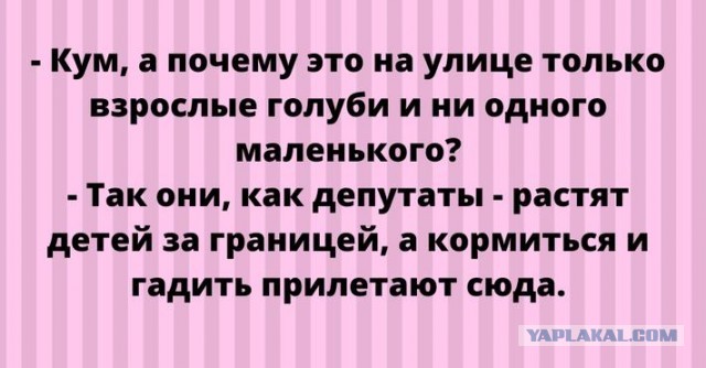 Картиночки, баянчики 11 декабря
