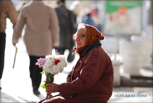 Дума одобрила проект об увеличении штрафов за экономические преступления