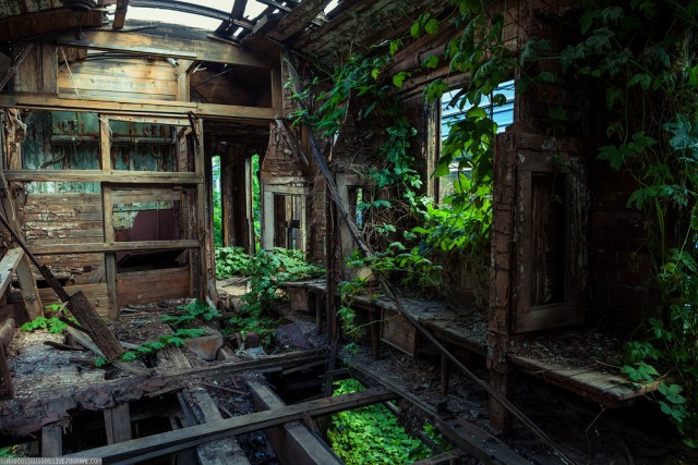 Забытый поезд