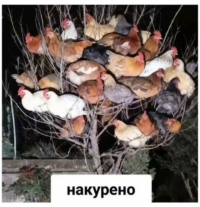 Прикольные и просто красивые картинки 27.02.2026
