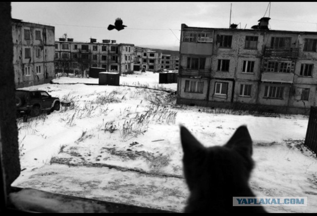 Разноцветный мир - опасен. Город Кировск