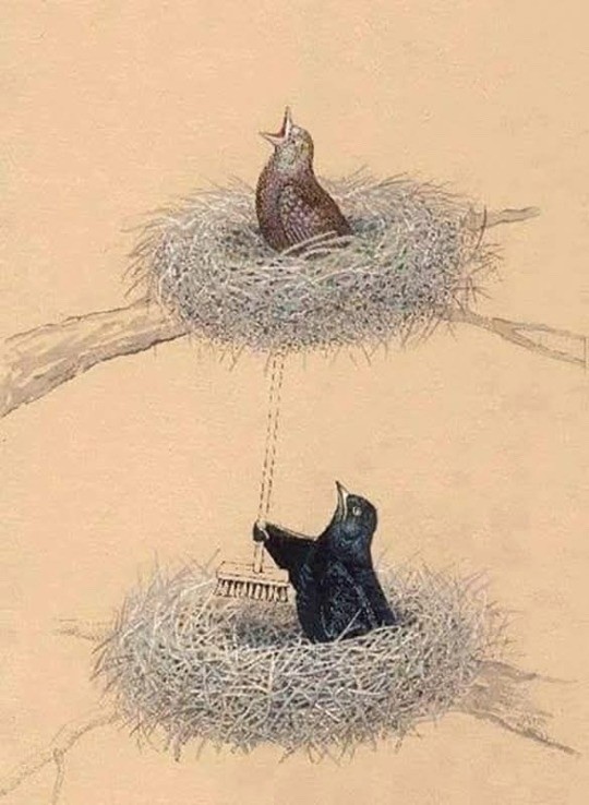 Картинки для деградации 177 (разной степени свежести)