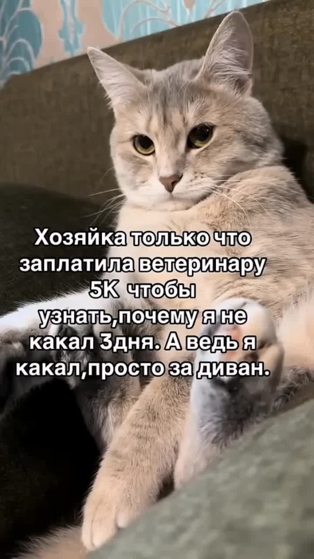 Московская школьница 1,5 года прикидывалась смертельно больной, чтобы не ходить в школу