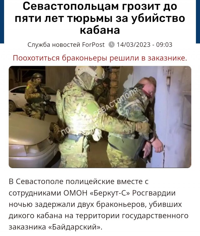 Тренер и два предпринимателя: что известно об охотниках, застреливших подростка в День защиты детей.