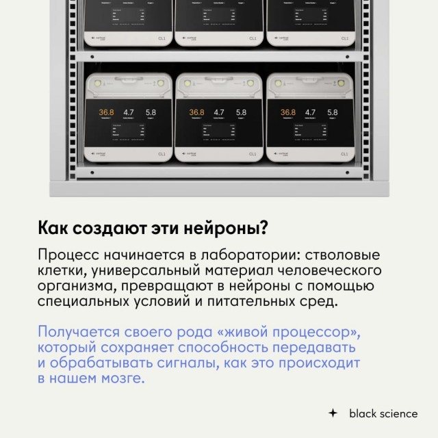 CL1: первый коммерческий биологический компьютер, работающий на человеческих нейронах.