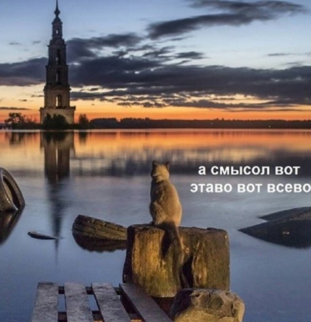 Так себе картинки 30.06.26