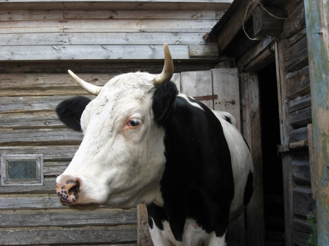 Поездка на Тамбовщину