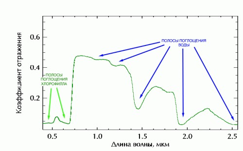 Инфракрасный мир