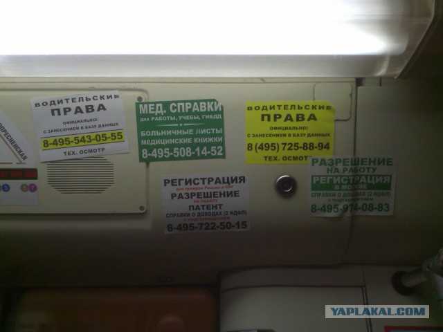 Откуда у приезжих образование и медкнижки