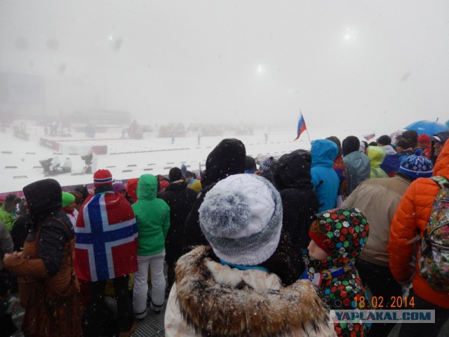 Два дня на Олимпиаде