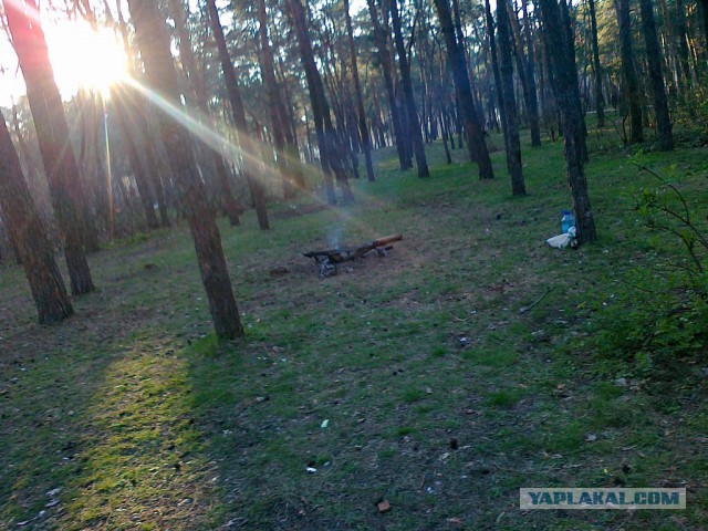 Сезон открыт!