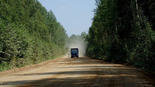 Черника 20.07.11