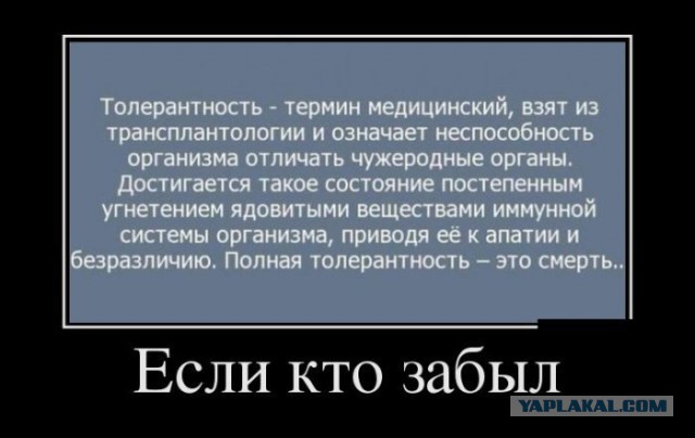 Мисс Африка и Мисс Франция