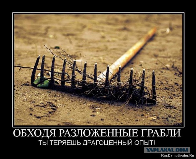 Про порядочность и алименты