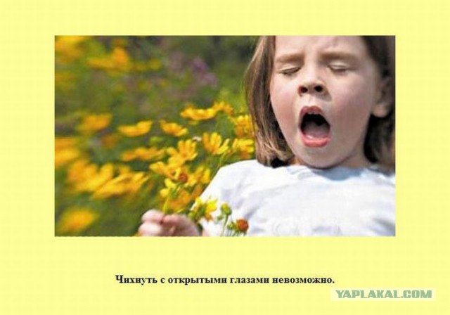 20 фактов обо всем