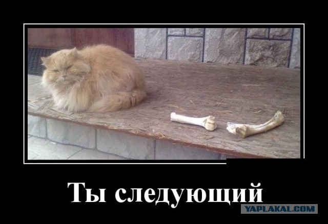 Подборка демотиваторов