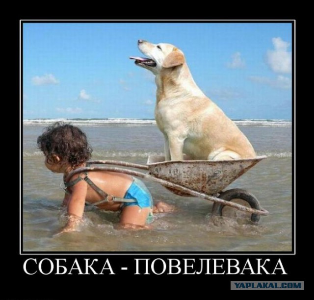 Картинки разные