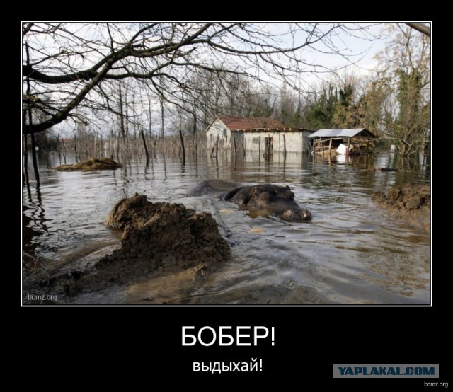 Обычное дело в Тюмени