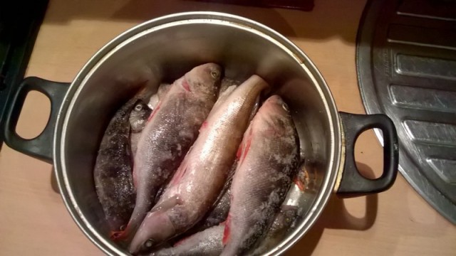 Коптим рыбу на кухне