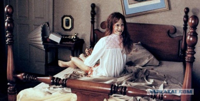 10 удивительных фактов о том, как спят животные