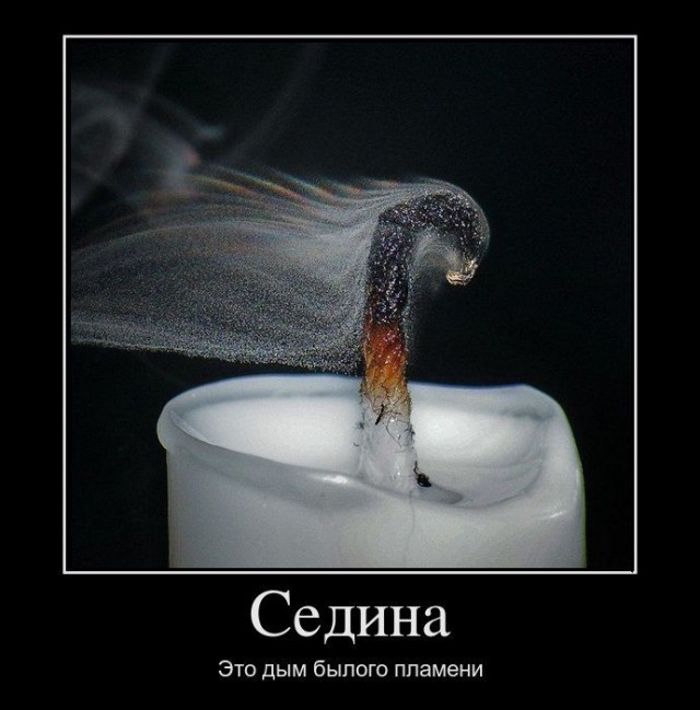 Весёлые картинки в чёрной рамке с просторов....