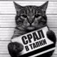 Аватары на заказ