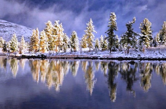 Подборка интересных и веселых фото