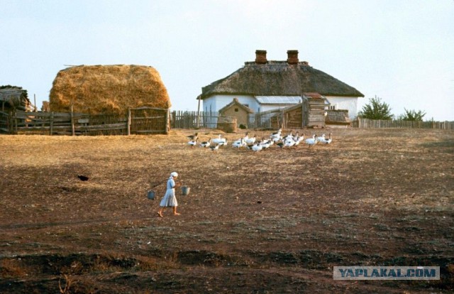 Как проводила лето советская молодёжь в 1960-х годах