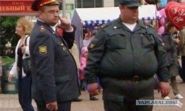 Накормили полицию