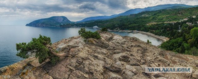 Севастопольским и крымским отельерам не хватает адекватности