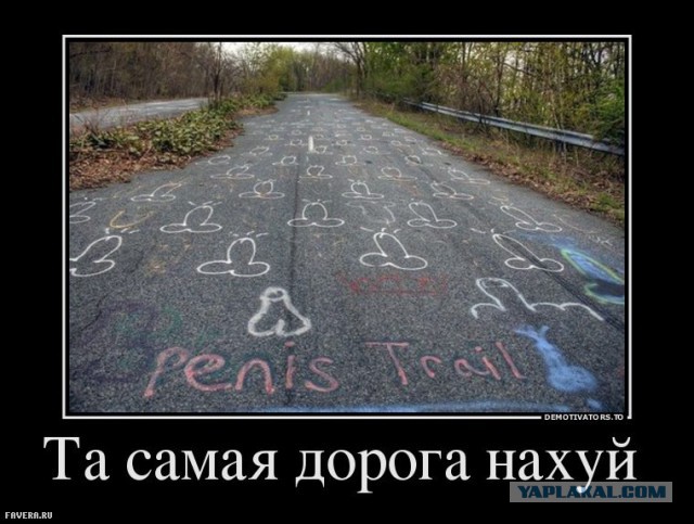 Прощальное видеописьмо Пашкета...