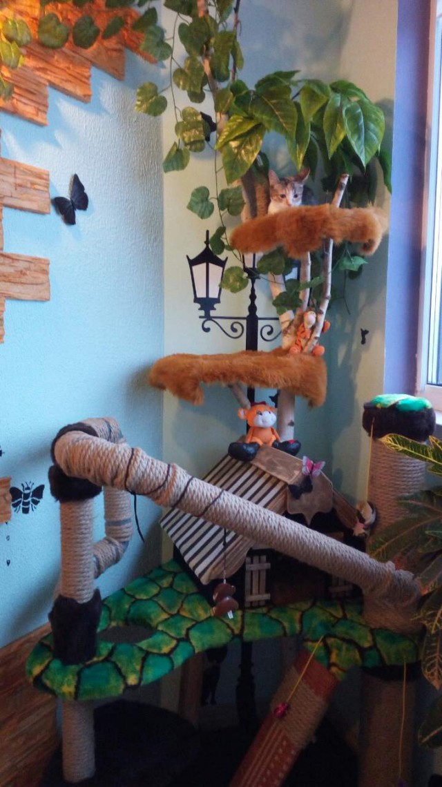 Коттедж своими руками, или про довольную котейку.