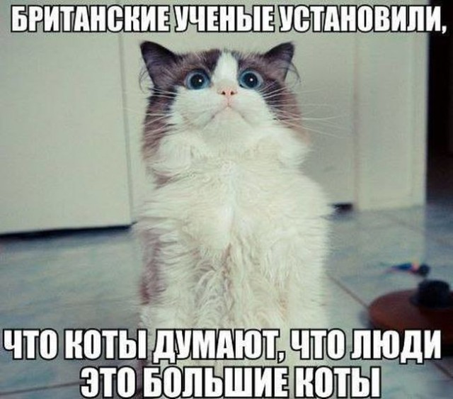 Подборка интересных и веселых картинок
