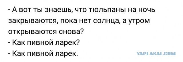 Немного деграданса - 6