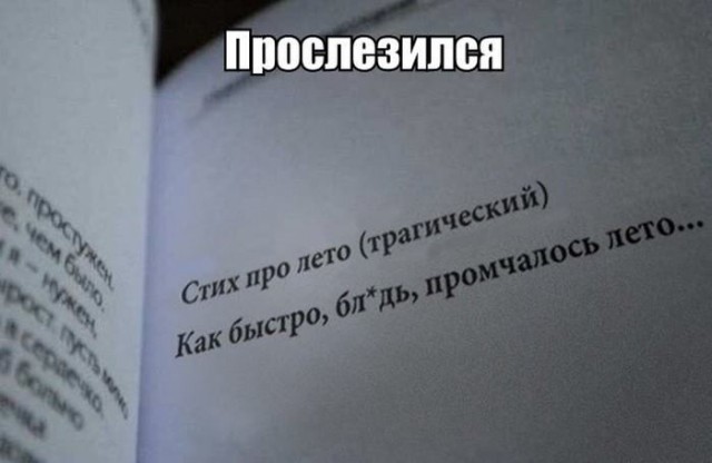 150 картинок для поднятия настроения!