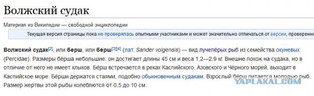 Стритфишинг на Москва-реке или кто такой берш?