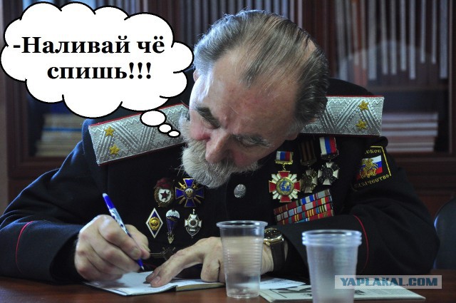 Что вы знаете о понтах?