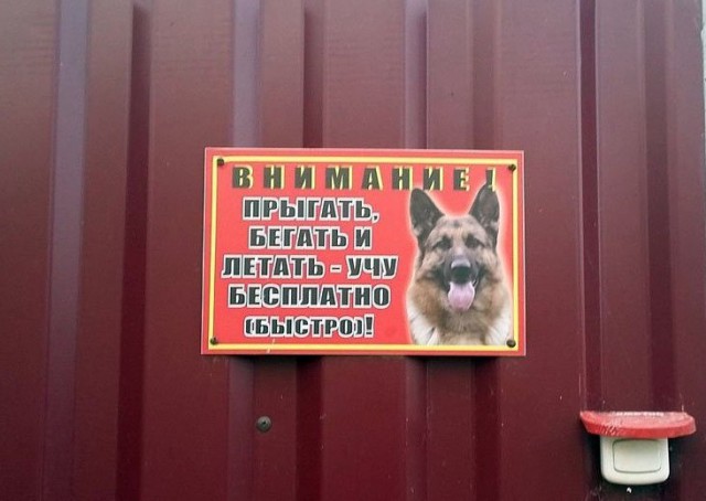 Картинки из ваших интернетов