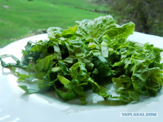 Яичный подкат