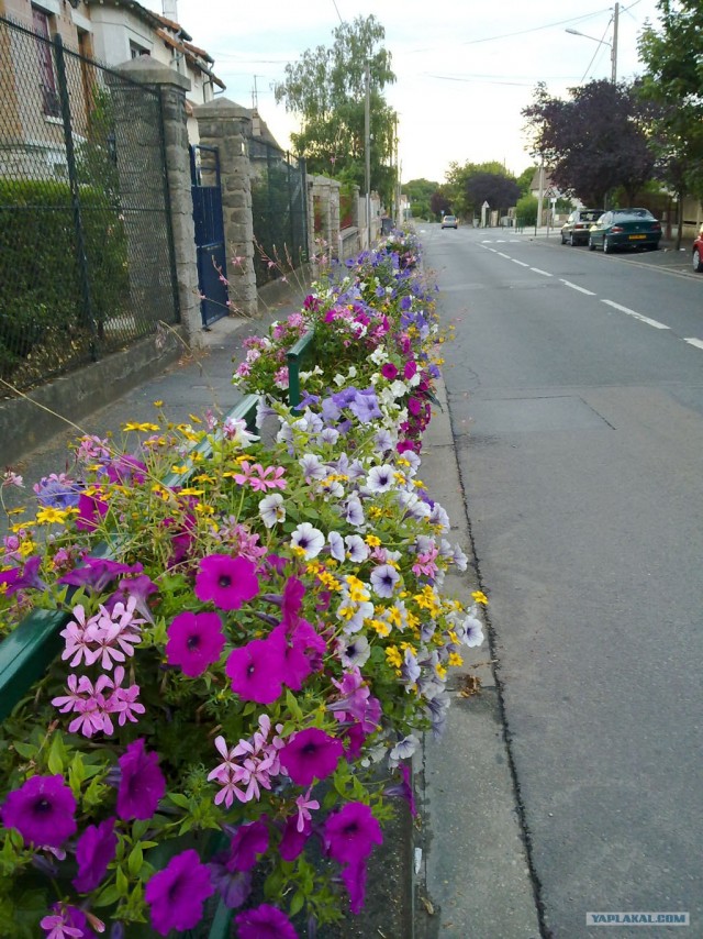 Европа как она есть