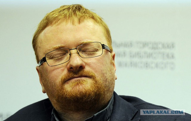 Одноразовые мангалы предложили запретить