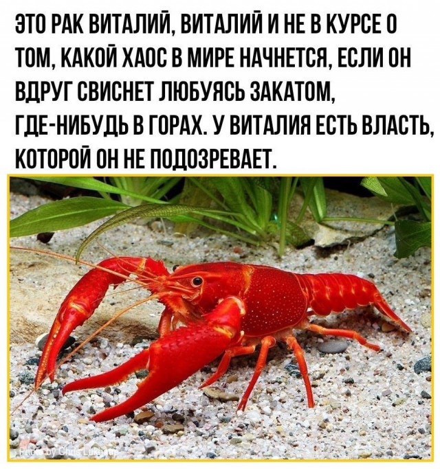 Не очень адекватный юмор
