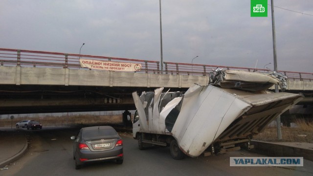 Подборка фоток под мостом глупости в Питере
