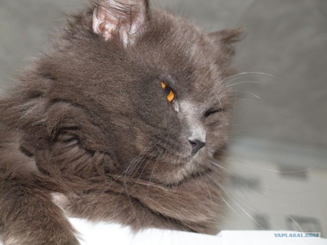 КОТовторник 13.04.2010г.
