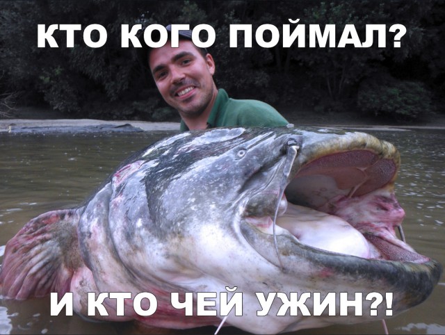 Нестандартный юмор