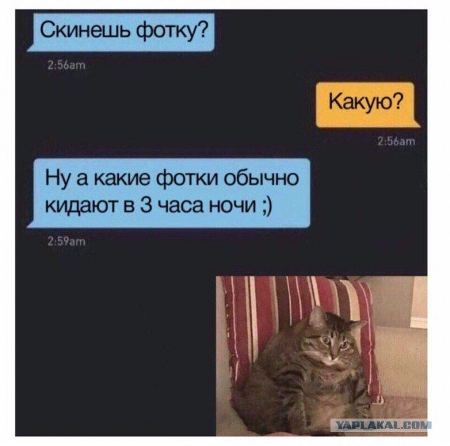 Чуток картинок 07.07.19