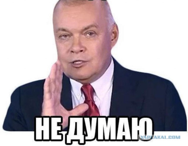 Пашкет. Что вообще происходит?!