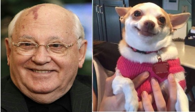 «Картинки разные нужны, картинки разные важны»