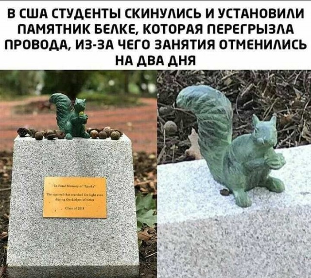 Картинки разные с Коронавирусом и без для настроения!