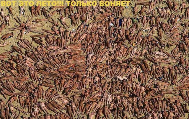 Фотожаба: Скоро лето 2008 !